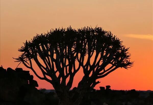 2017 Zuidelijk Afrika