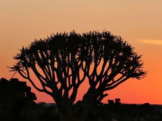 2017 Zuidelijk Afrika